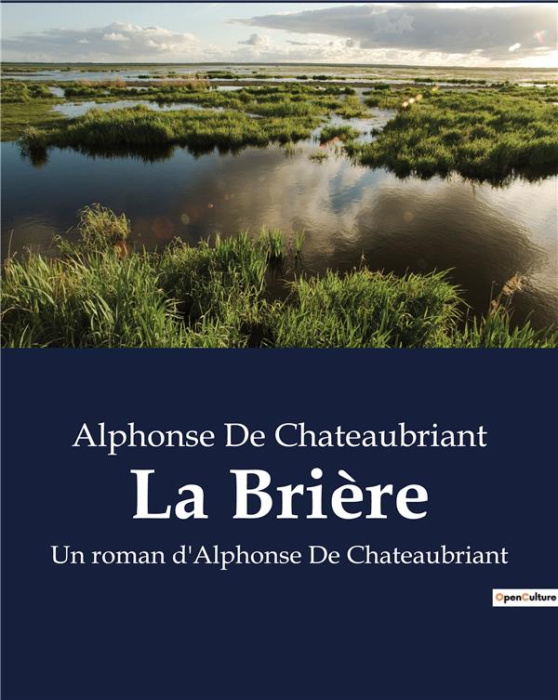 Emprunter Briere. Un roman d'Alphonse De Chateaubriant livre