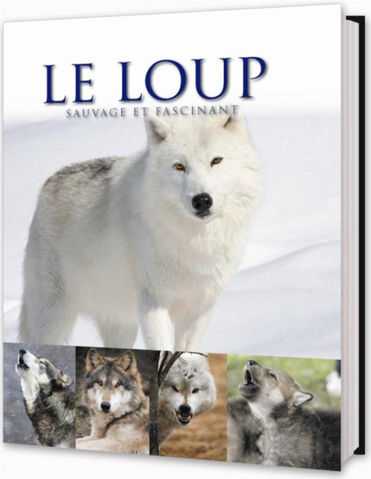 Emprunter Les grands félins livre