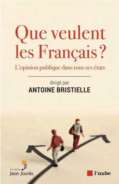 Emprunter Que veulent les Français ? L'opinion publique dans tous ses états livre