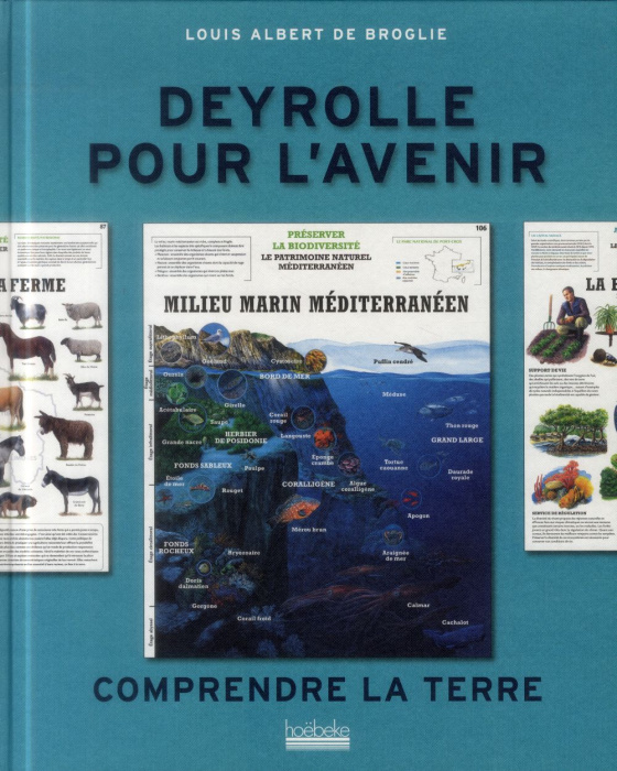 Emprunter Comprendre la Terre livre