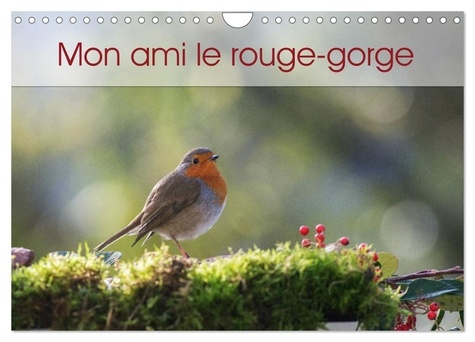 Emprunter Mon ami le rouge-gorge (Calendrier mural 2026 DIN A4 vertical), CALVENDO calendrier mensuel. Une ann livre