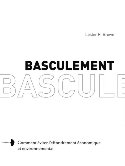 Emprunter Basculement / Comment éviter l'effondrement économique et environnemental livre
