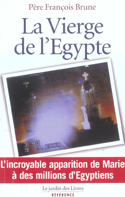 Emprunter La Vierge de l'Egypte livre