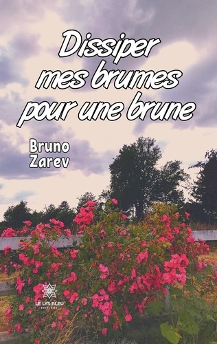 Emprunter Dissiper mes brumes pour une brune livre