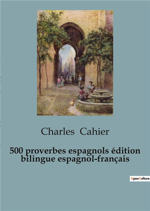 Emprunter 500 PROVERBIOS ESPANOLES / 500 PROVERBES ESPAGNOLS (EDICION BILINGUE) - EDICION BILINGUE EN ESPANOL livre