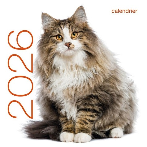 Emprunter Calendrier Chats. Edition 2026 livre