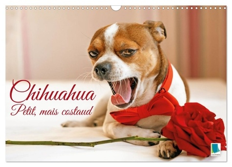 Emprunter Chihuahua : petit, mais costaud (Calendrier mural 2026 DIN A3 vertical), CALVENDO calendrier mensuel livre