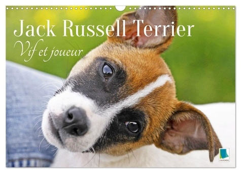 Emprunter Jack Russell Terrier : vif et joueur (Calendrier mural 2026 DIN A3 vertical), CALVENDO calendrier me livre