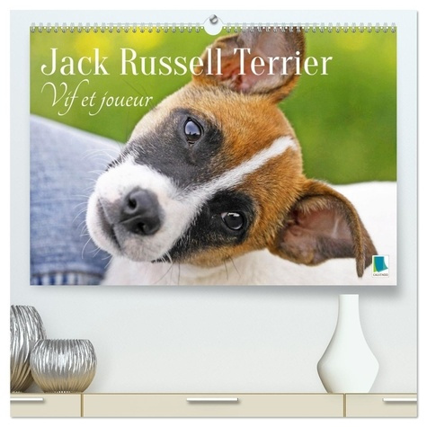 Emprunter Jack Russell Terrier : vif et joueur (Calendrier mural 2026 DIN A2 vertical) calendrier de bureau. livre