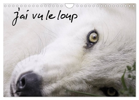 Emprunter J'ai vu le loup (Calendrier mural 2026 DIN A4 vertical), CALVENDO calendrier mensuel. Loups gris et livre