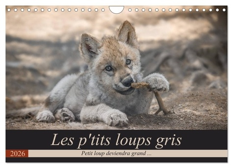 Emprunter Les p'tits loups gris (Calendrier mural 2026 DIN A4 vertical), CALVENDO calendrier mensuel. Petit lo livre
