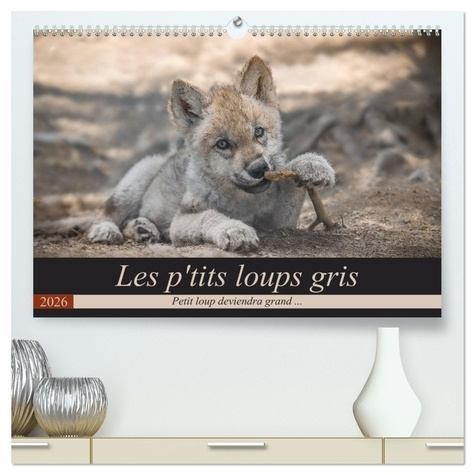 Emprunter Les p'tits loups gris (Calendrier mural 2026 DIN A2 vertical) calendrier de bureau. Petit loup devi livre