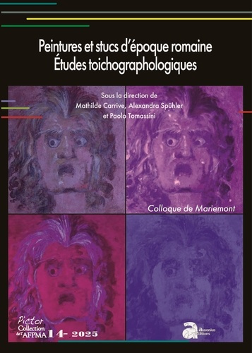 Emprunter Peintures et stucs d'époque romaine. Etudes toichographologiques livre