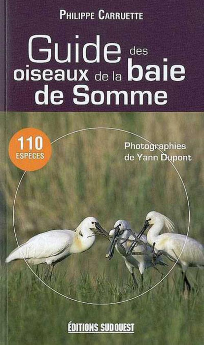 Emprunter Guide Des Oiseaux De La Baie De Somme livre