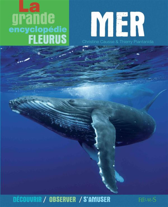 Emprunter Mer livre