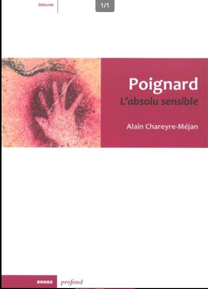 Emprunter Poignard. L'absolu sensible livre