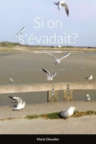 Emprunter Si on s'évadait?. recueil de nouvelles livre