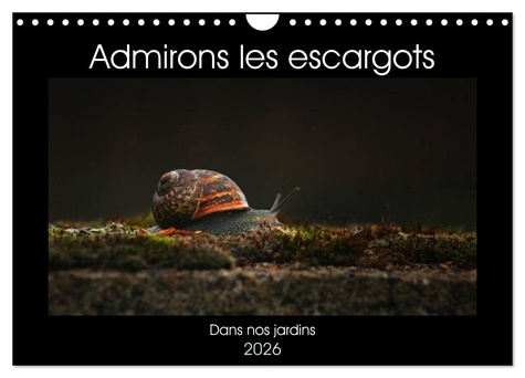 Emprunter Admirons les escargots (Calendrier mural 2026 DIN A4 vertical), CALVENDO calendrier mensuel. Dans no livre