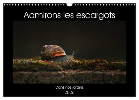 Emprunter Admirons les escargots (Calendrier mural 2026 DIN A3 vertical), CALVENDO calendrier mensuel. Dans no livre