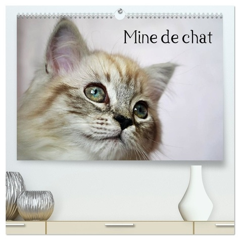 Emprunter Mine de chat (Calendrier mural 2026 DIN A2 vertical) calendrier de bureau. Photos fascinantes des t livre