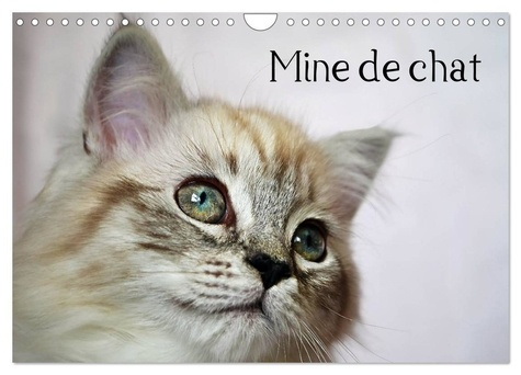 Emprunter Mine de chat (Calendrier mural 2026 DIN A4 vertical), CALVENDO calendrier mensuel. Photos fascinante livre