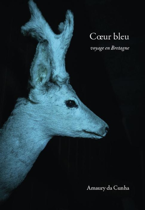 Emprunter Coeur bleu livre