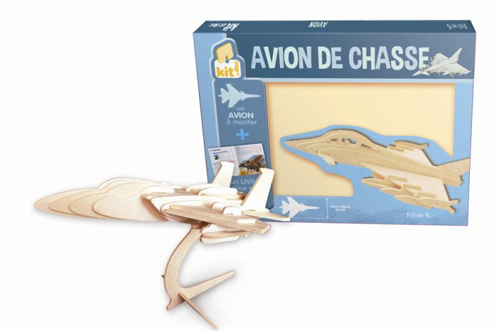 Emprunter Avion de chasse livre