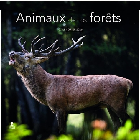 Emprunter Calendrier Animaux de nos Forêts. Edition 2026 livre