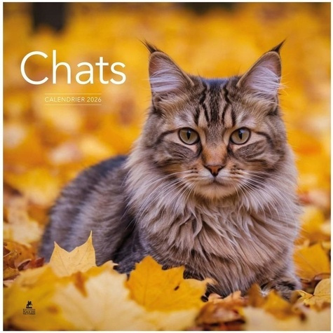 Emprunter Calendrier Chats. Edition 2026 livre