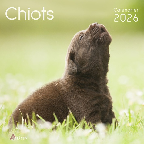 Emprunter Calendrier chiots. Edition 2026 livre