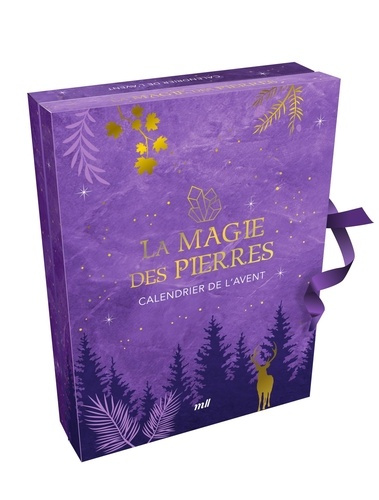 Emprunter La magie des pierres. Calendrier de l'Avent. Coffret avec 22 pierres et 2 cadeaux surprises pour att livre