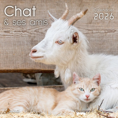 Emprunter Calendrier le chat et ses amis. Edition 2026 livre