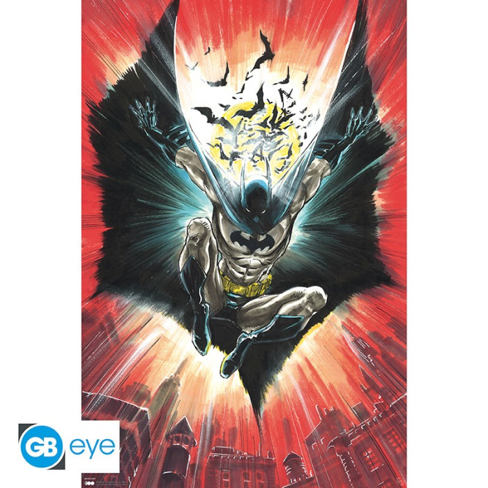 Emprunter DC Comics - Poster maxi roulé 91,5 x 61 cm : Batman Warner 100th livre