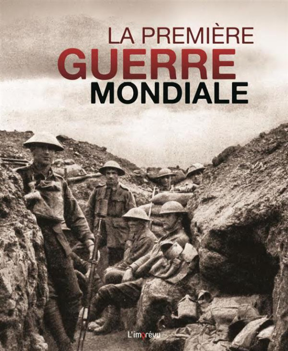 Emprunter La Première Guerre mondiale. Les moments clés d'un conflit sans précédent livre
