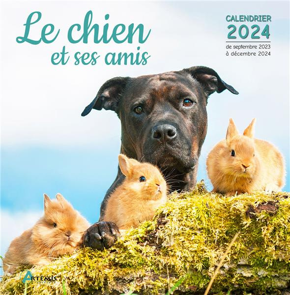 Emprunter Le chien et ses amis. Calendrier de septembre 2023 à décembre 2024, Edition 2024 livre