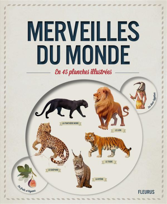 Emprunter Merveilles du monde en 45 planches illustrées livre