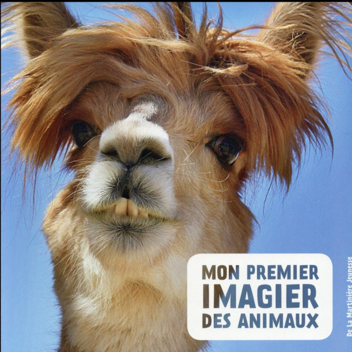 Emprunter Mon premier imagier des animaux livre