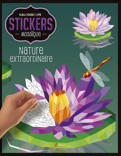 Emprunter Nature extraordinaire livre