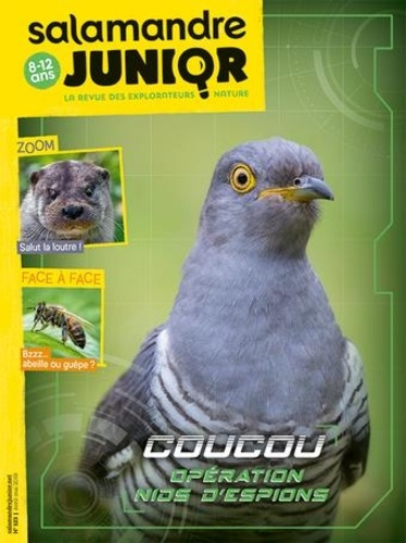 Emprunter Salamandre Junior N° 123, avril-mai 2019 : Coucou opération nids d'espion livre