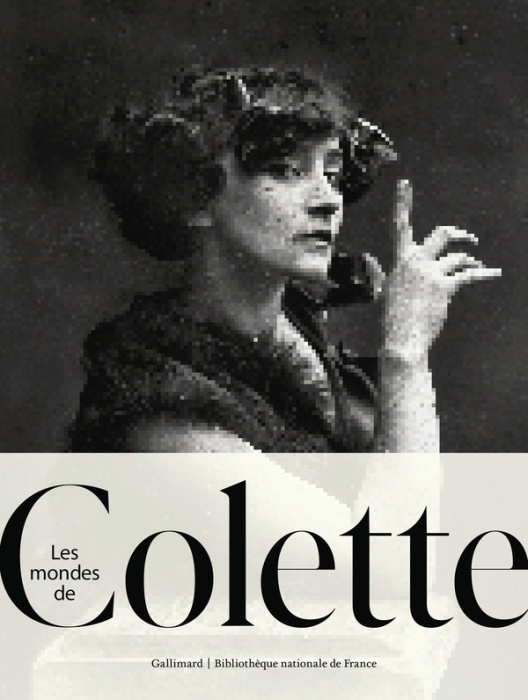Emprunter Les mondes de Colette livre