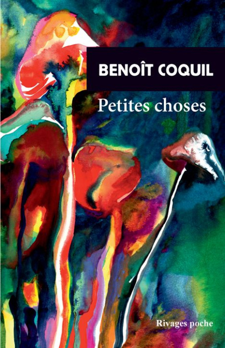 Emprunter Petites choses livre