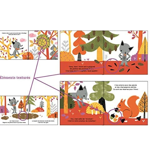 Emprunter Une enquête de Loulou : Qui a grignoté toutes ces noisettes ? livre