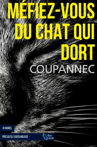 Emprunter Méfiez-vous du chat qui dort livre