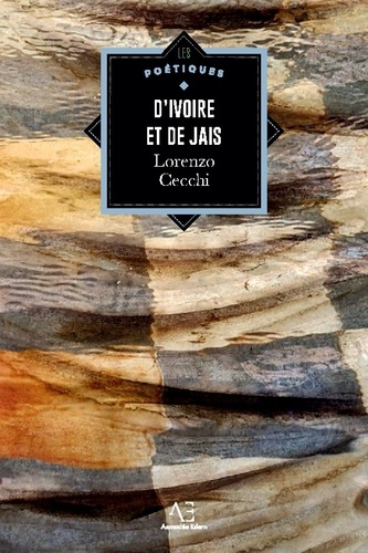 Emprunter D'ivoire et de jais livre