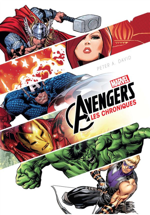 Emprunter Avengers : Les chroniques livre
