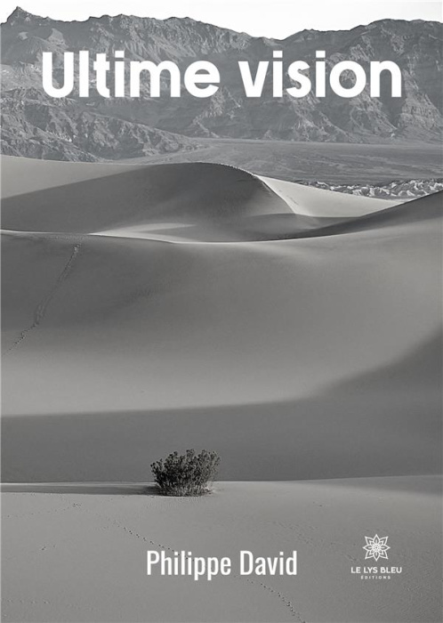 Emprunter Ultime vision livre