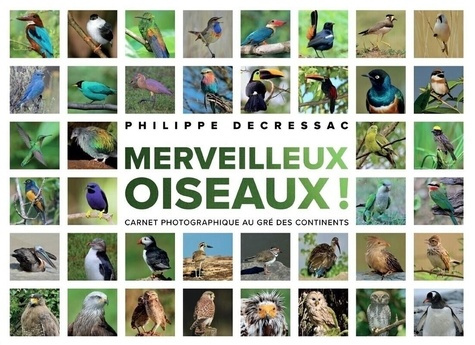 Emprunter Merveilleux oiseaux ! Carnet photographique au gré des continents livre