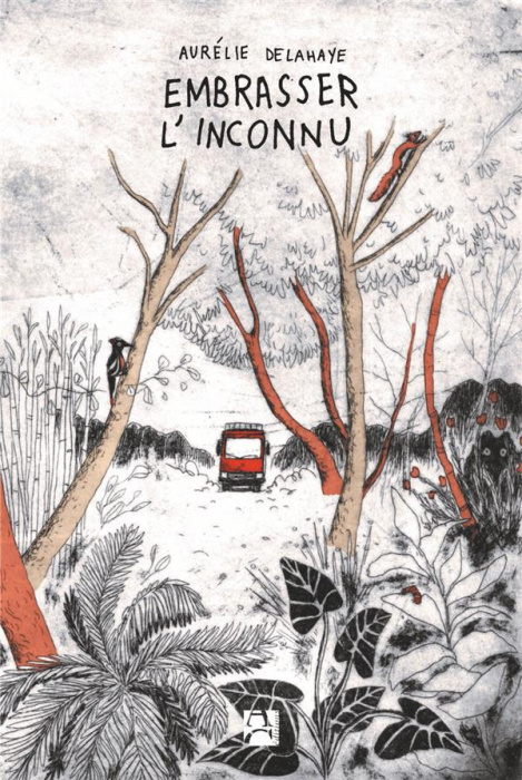 Emprunter Embrasser l'inconnu livre