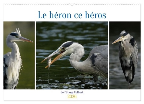 Emprunter Le héron ce héros de l'étang Colbert (Calendrier mural 2026 DIN A2 vertical), CALVENDO calendrier me livre