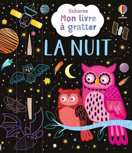 Emprunter La nuit. Avec 1 stylet en bois livre